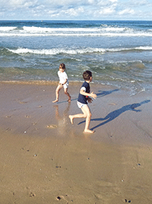 beach with holly